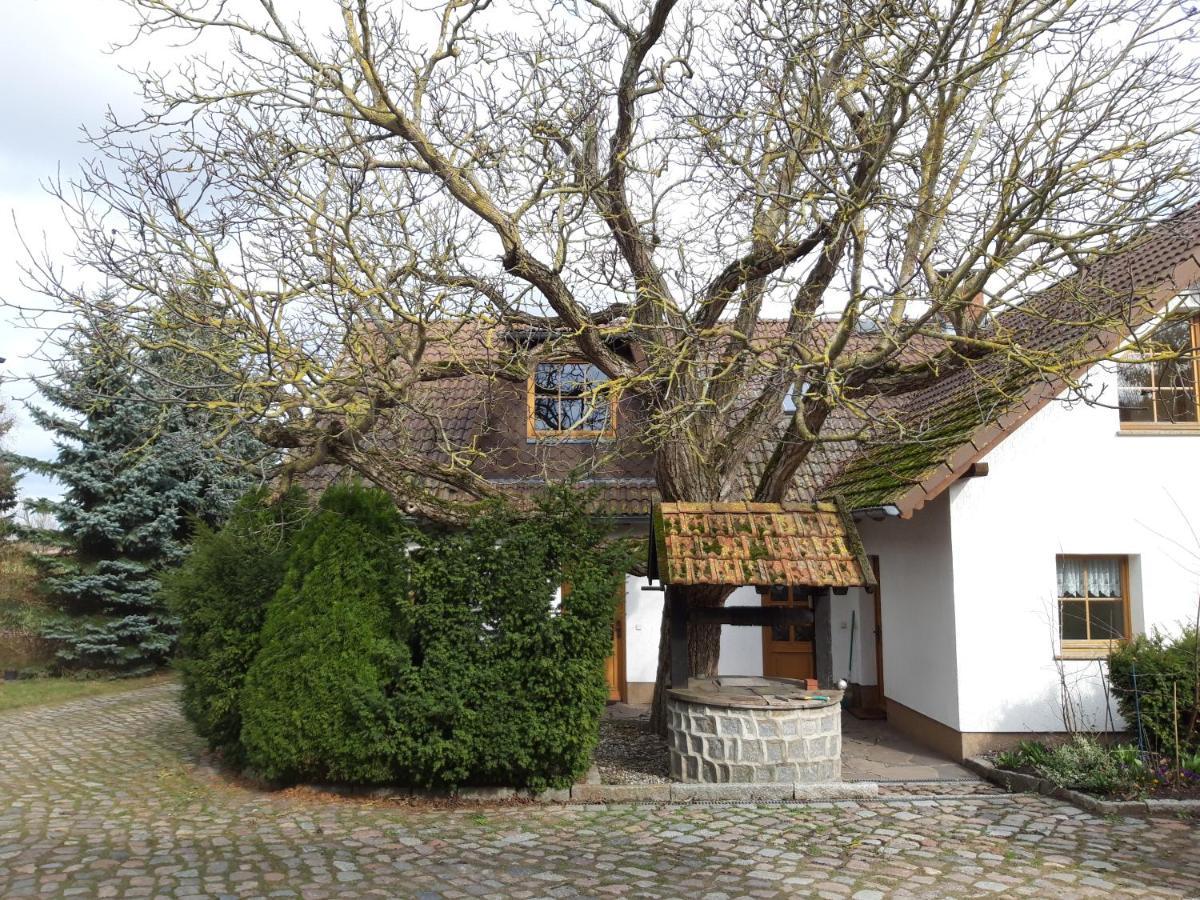 Ein Bett Im Kornfeld - Haus Morgensonne - Mit Innenpool Schonfeld  Eksteriør billede