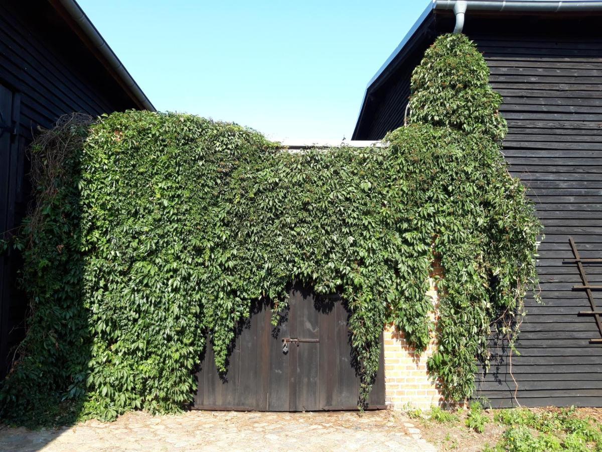 Ein Bett Im Kornfeld - Haus Morgensonne - Mit Innenpool Schonfeld  Eksteriør billede
