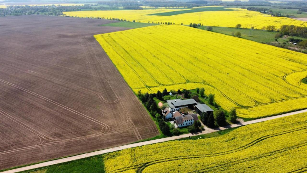 Ein Bett Im Kornfeld - Haus Morgensonne - Mit Innenpool Schonfeld  Eksteriør billede