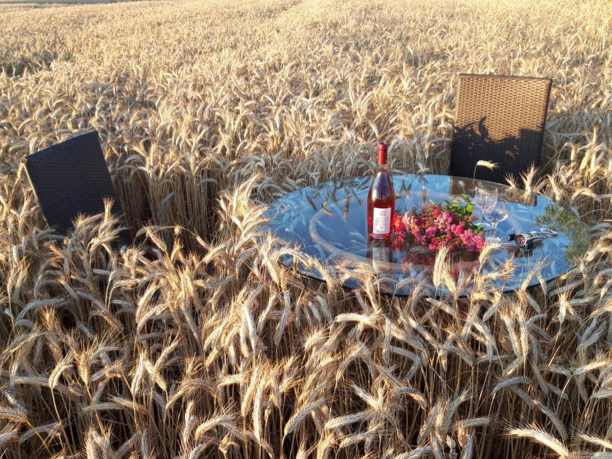 Ein Bett Im Kornfeld - Haus Morgensonne - Mit Innenpool Schonfeld  Eksteriør billede
