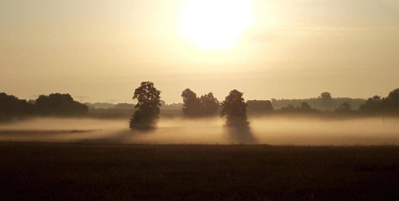Ein Bett Im Kornfeld - Haus Morgensonne - Mit Innenpool Schonfeld  Eksteriør billede