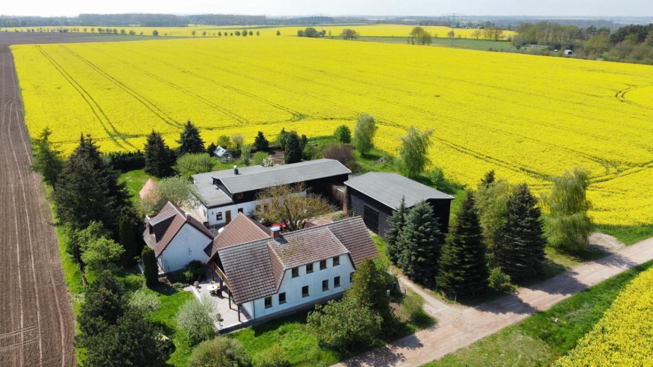 Ein Bett Im Kornfeld - Haus Morgensonne - Mit Innenpool Schonfeld  Eksteriør billede